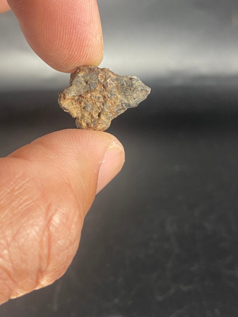 Diogenite Dekkaliat 无保留价！ - 7.6 g - (2) #4.3