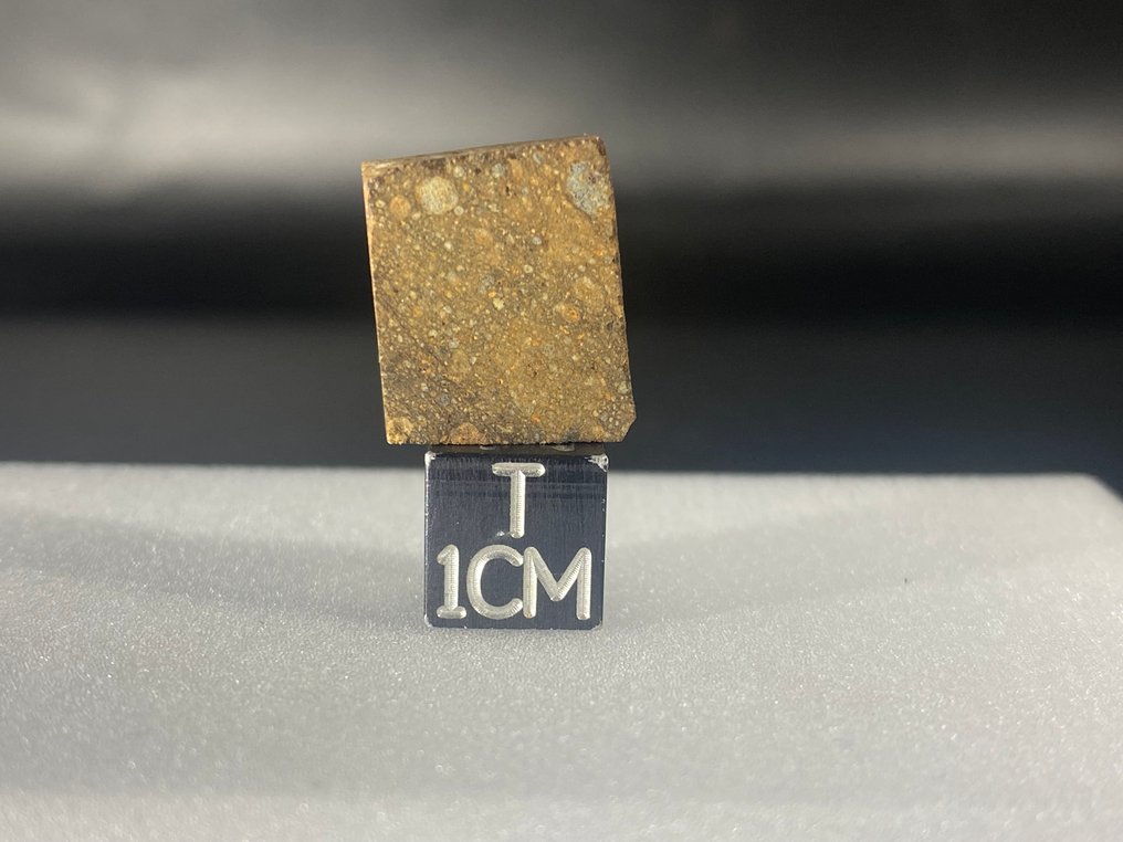 Rarissima Rumuruti Mederdra chondrite（R4-5） 没有保留价格！！ - 3.4 g - (1) #1.0