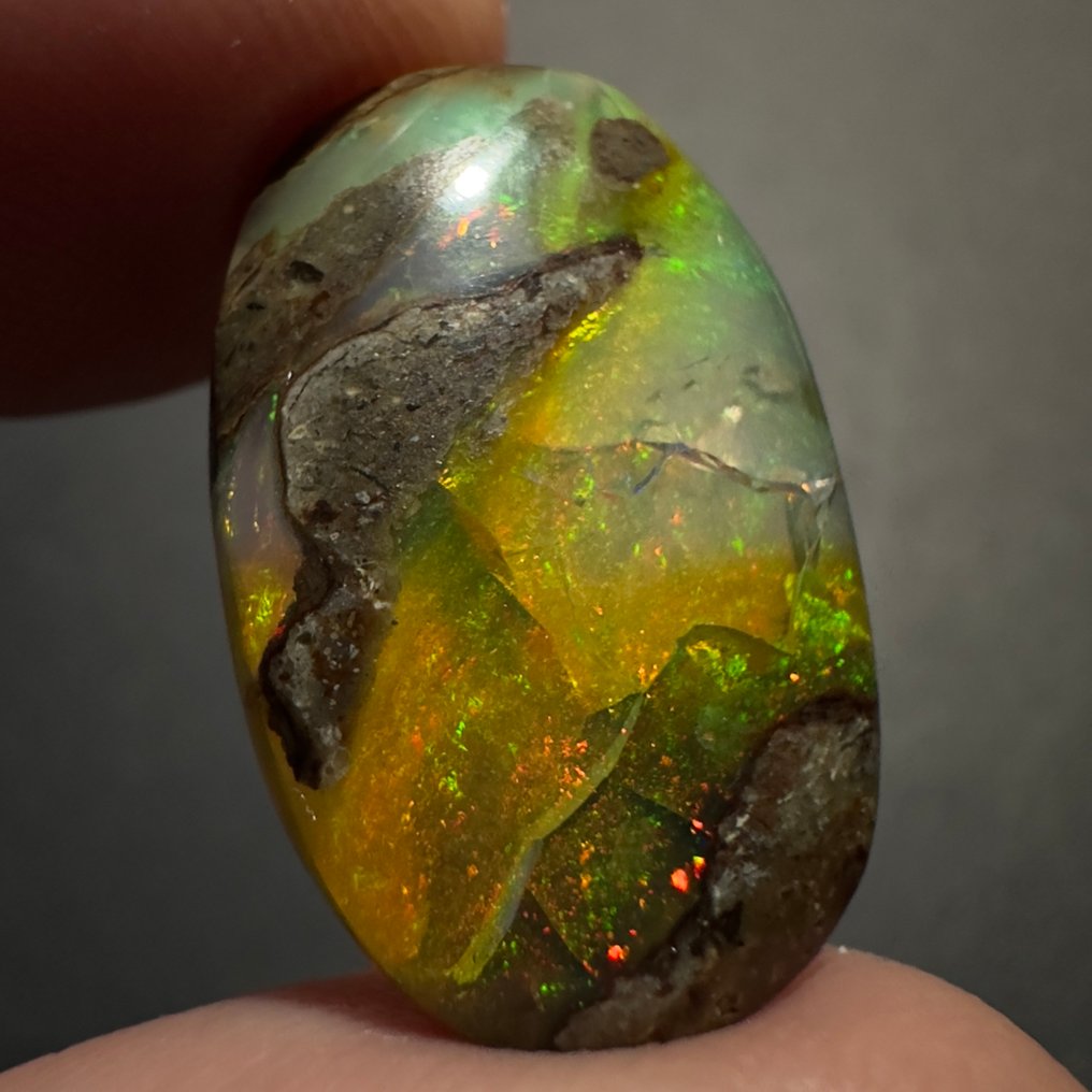 χωρίς τιμή ασφαλείας - 1 pcs  Οπάλιο  - 7.20 ct - Δεν υπάρχει εργαστηριακή έκθεση #1.0