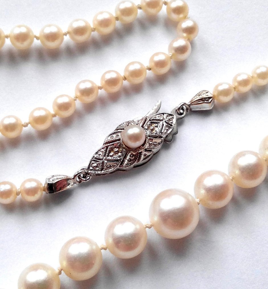 Sem preço de reserva - Colar Ouro branco 14 kt - Pérolas Akoya - comprimento de 53,5 cm - Millegriffes #1.0