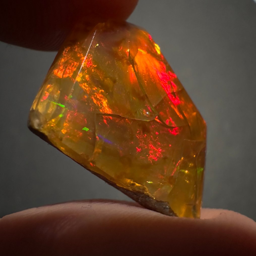 Ingen reservasjonspris - 1 pcs  Opal  - 7.00 ct - Ingen laboratorierapport #1.0