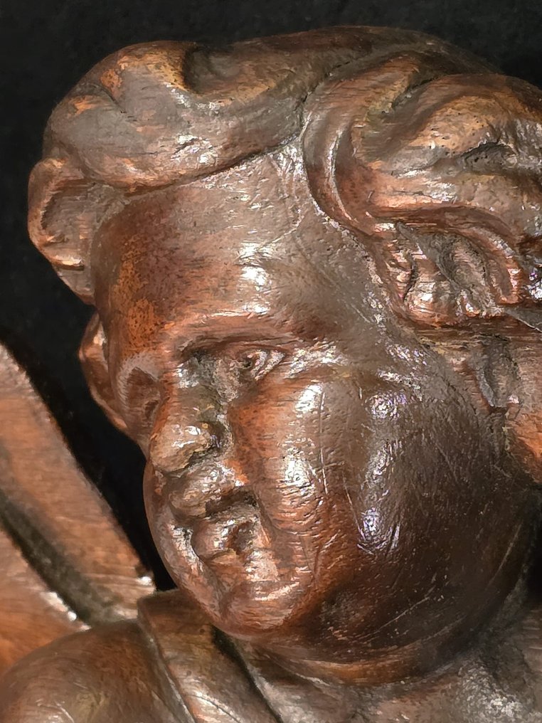 Sculpture, Antiche sculture Stemma Cherubini, 19º secolo - 40 cm - Walnut #1.0