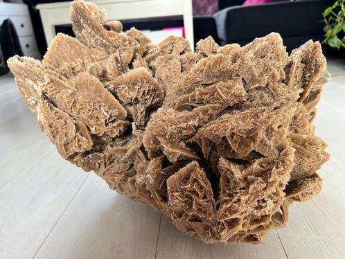 ρόδο της ερήμου Σύμπλεγμα κρυστάλλων - Ύψος: 30 cm - Πλάτος: 50 cm- 54 kg - (1) #3.2