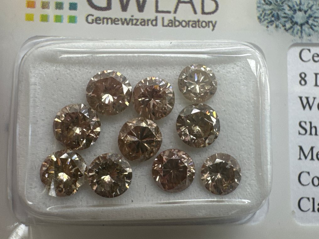 No reserve price - 10 pcs Diamond (Natural coloured) - 2.82 ct - Round Brown - SI2, VS1 - Gemewizard Gemological Laboratory (GWLab) #1.0