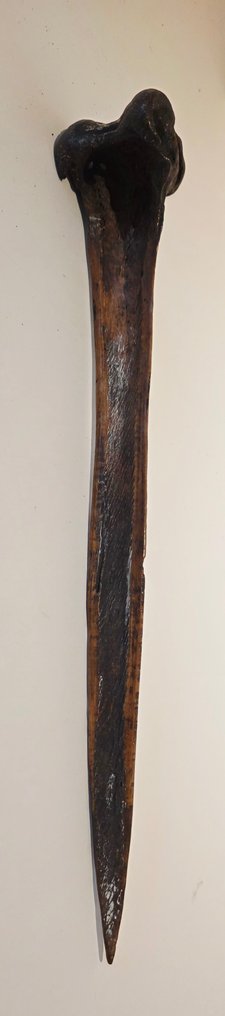 Adaga - Sepik - Papua Nova Guiné #2.1