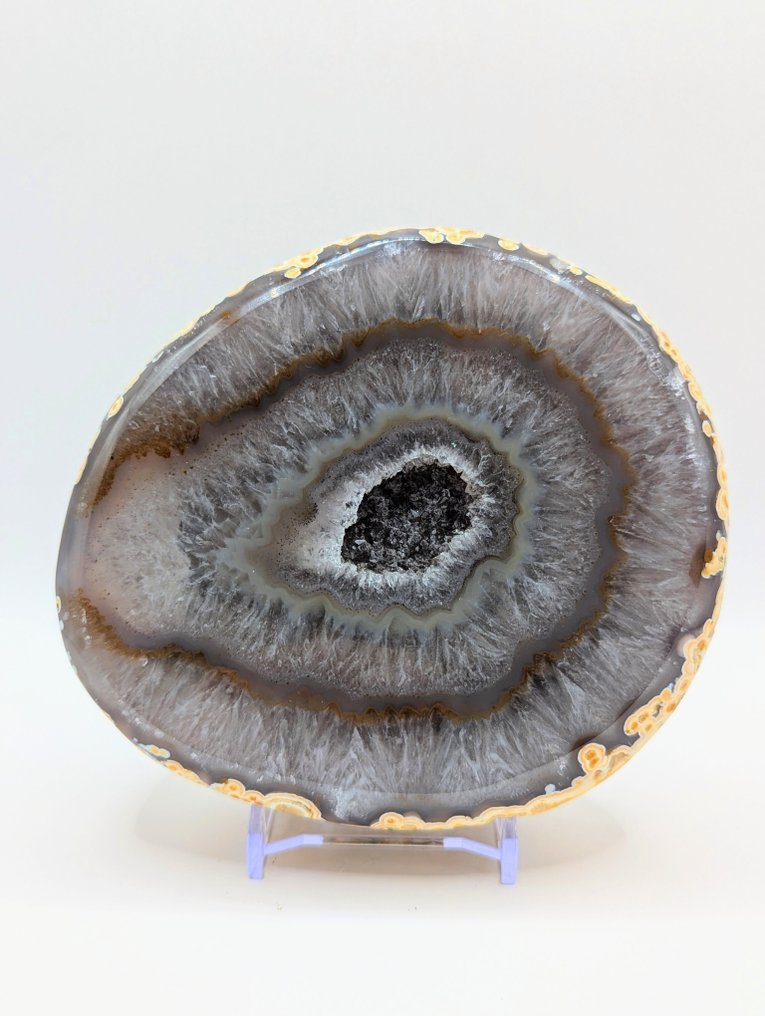 No Reserve Purchase Polished- 1221 g - (1) #1.0