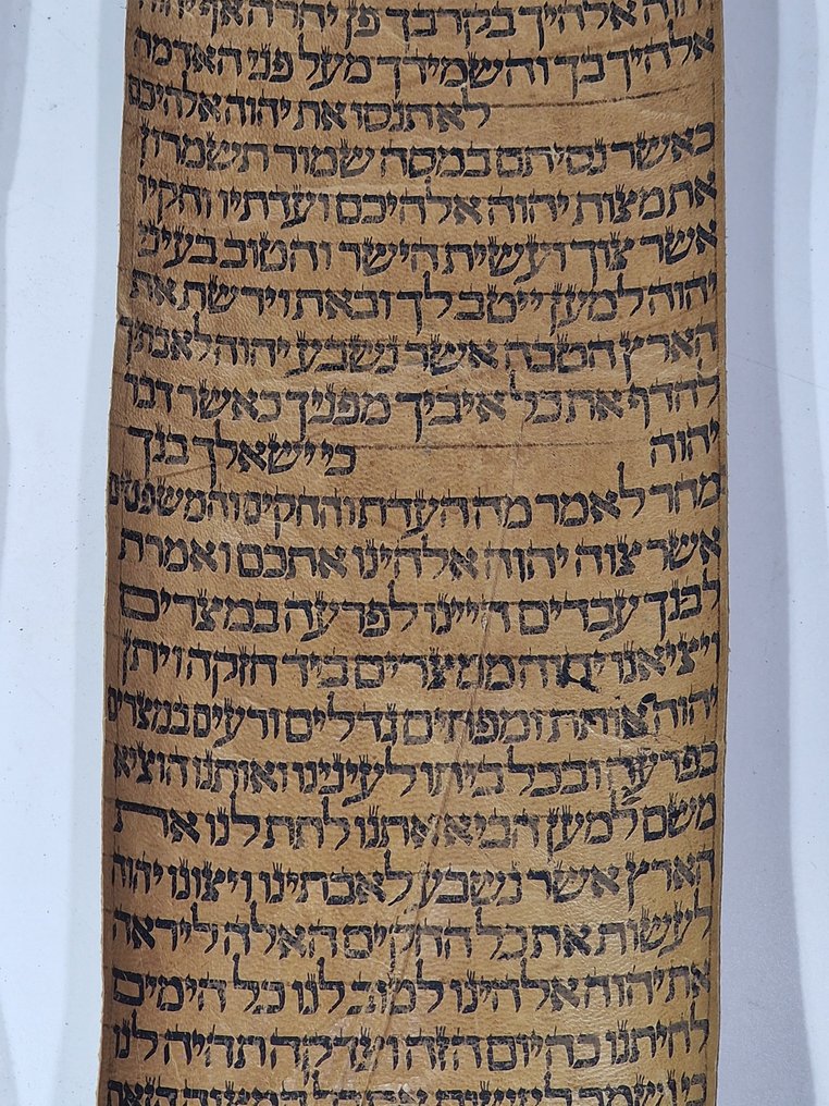 antique Torah scroll, a handwritten on leather - 1800 #3.2