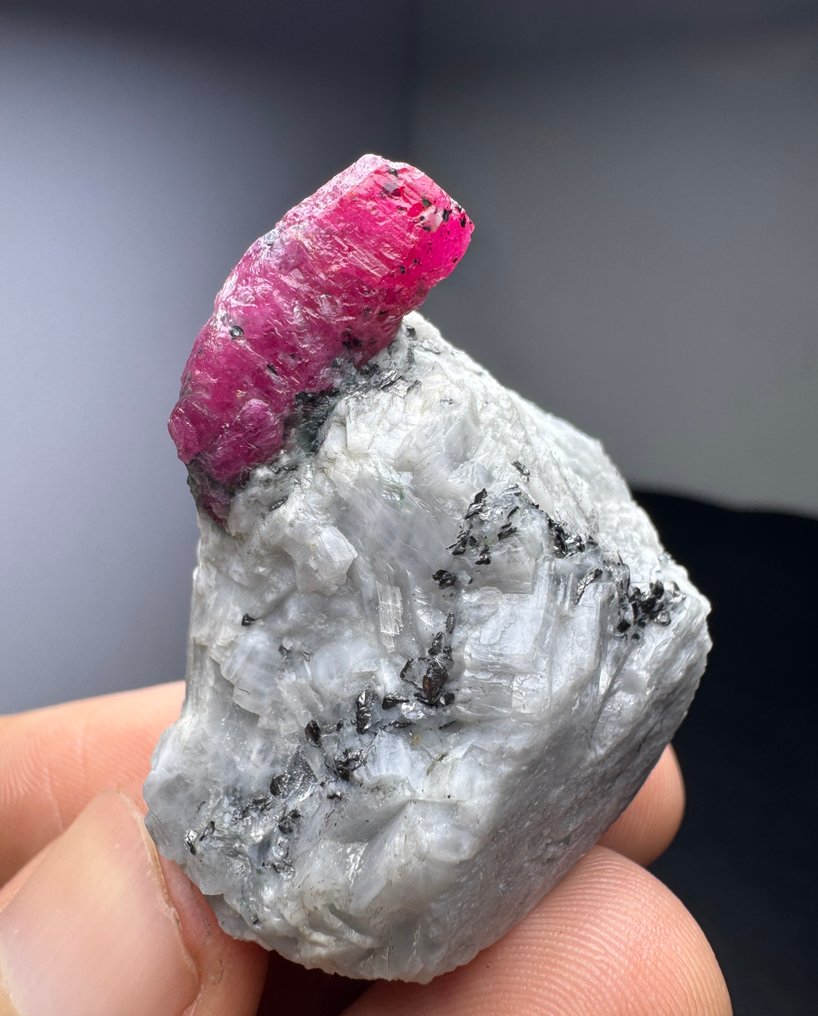 哇！！ Vivid Ruby 水晶矩晶体 - 高度: 31 mm - 宽度: 28 mm- 48 g - (1) #1.0