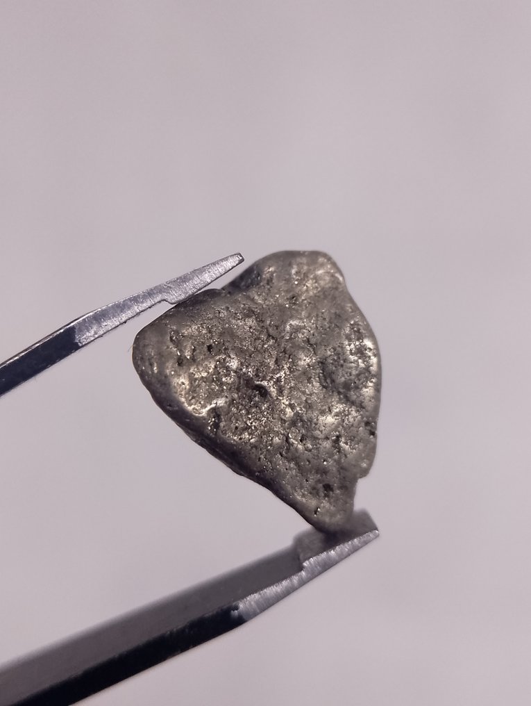 Πλατίνα Ψήγμα - Ύψος: 12 mm - Πλάτος: 7 mm- 1.3 g #1.0