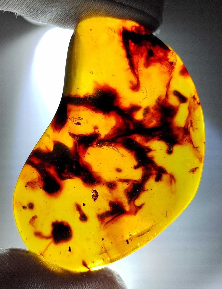 FOSSIL-AMAZING!! Dominican amber-70 cts- 14 g #1.0