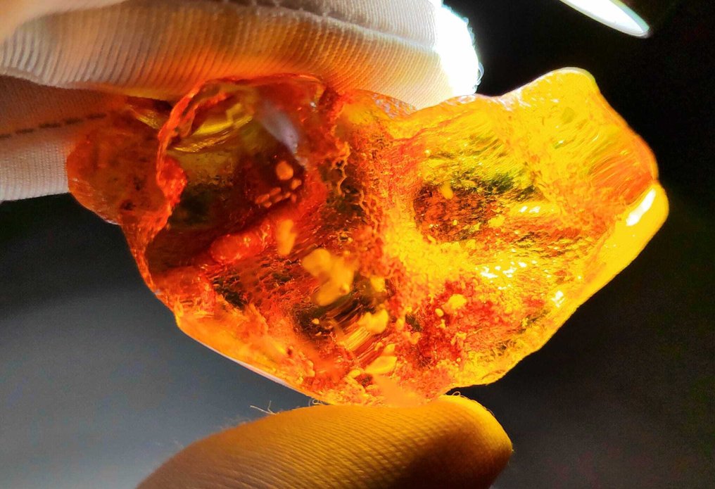 Dominicaanse amber!! AAA kwaliteit - 405 ct- 81 g #4.3