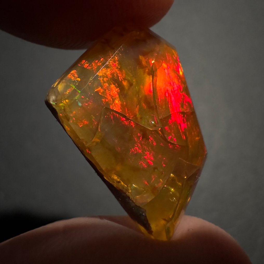 Ingen reservasjonspris - 1 pcs  Opal  - 7.00 ct - Ingen laboratorierapport #3.2