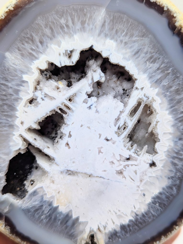 Αγορές χωρίς ελάχιστη τιμή Γαιώδης- 1224 g - (1) #1.0