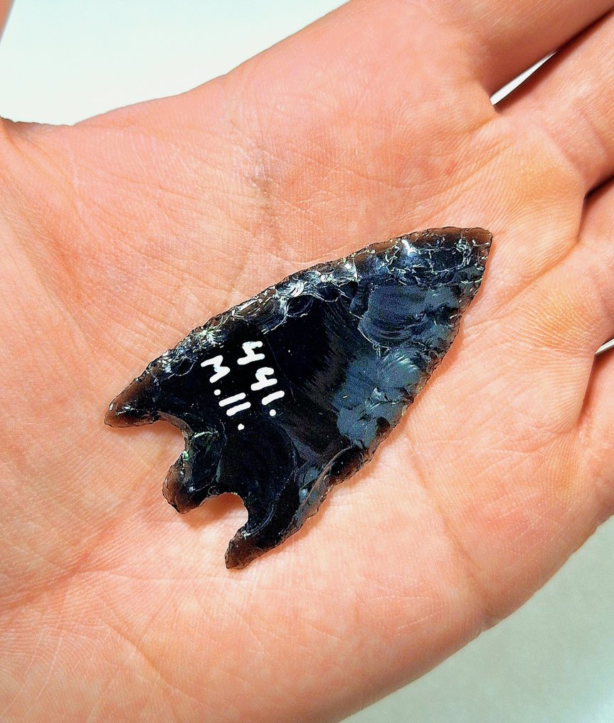 Νεολιθική Οψιάνος Άκρη βέλους από διπλόπλευρη όψινη οψιδιανίνη, νεολιθική, Ηνωμένες Πολιτείες, Νότια Αμερική, ιδιωτική - 55 mm  (χωρίς τιμή ασφαλείας) #1.0