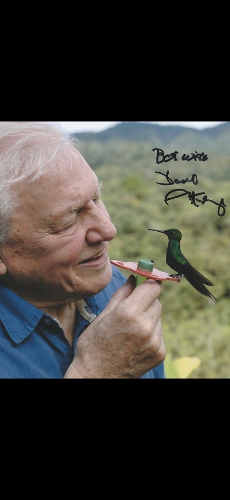 TV and Documentary Legend - Signed by Sir David Attenborough #3.2