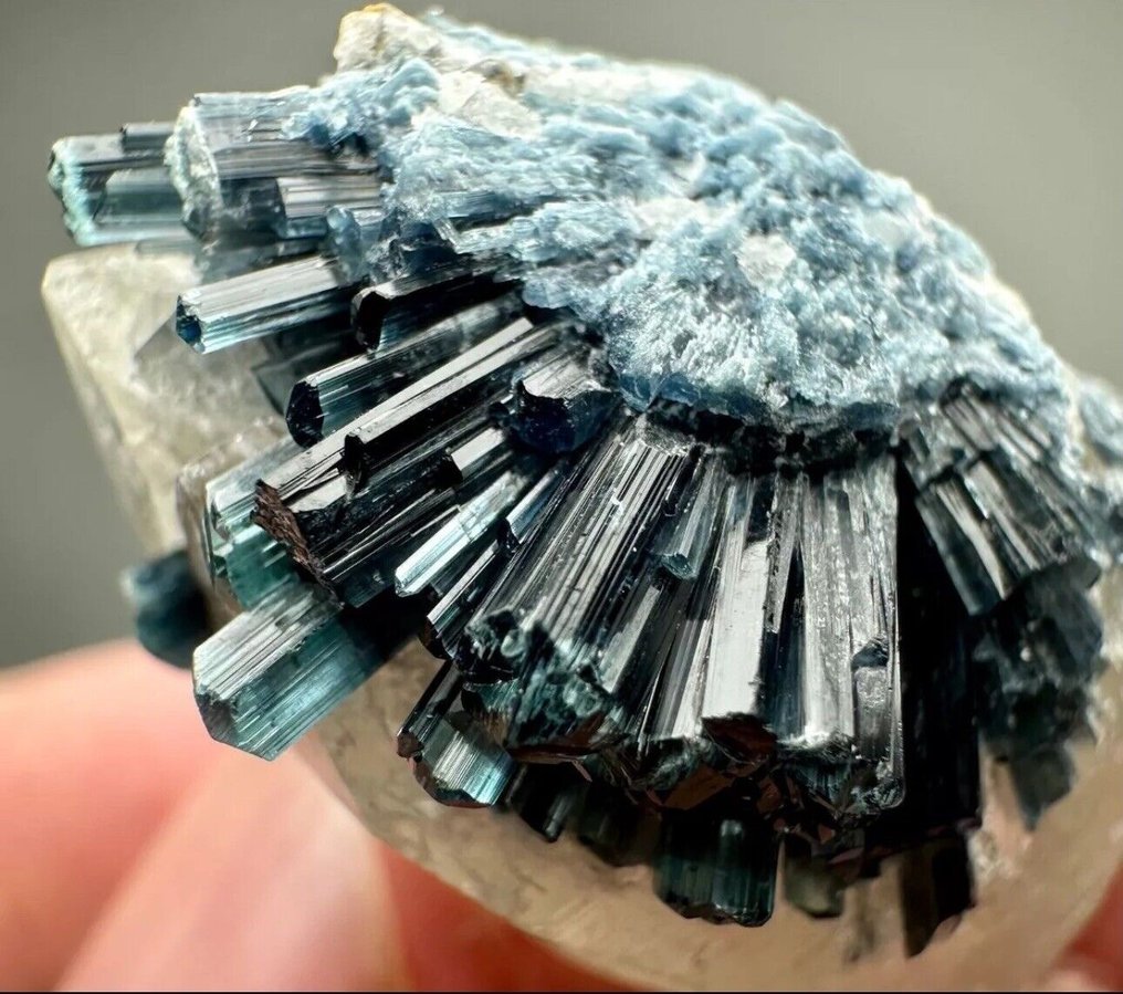 Εξαιρετικό! Ολοκληρωμένη σπάνια ομάδα κρυστάλλων Indicolit-Burst σε κρύσταλλο χαλαζία. Κρίσταλ στη μήτρα - Ύψος: 37 mm - Πλάτος: 27 mm- 133 g - (1) #1.0