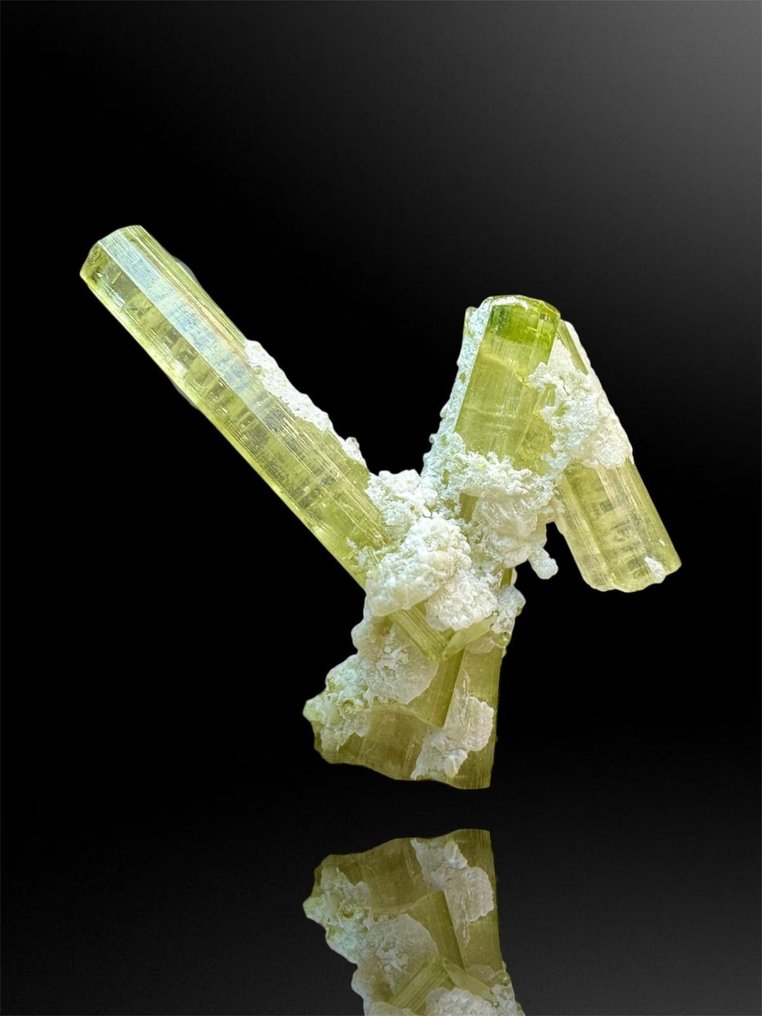 Tourmaline 礦物收藏 - 高度: 3 cm - 闊度: 3.5 cm- 16 g - (1) #1.0