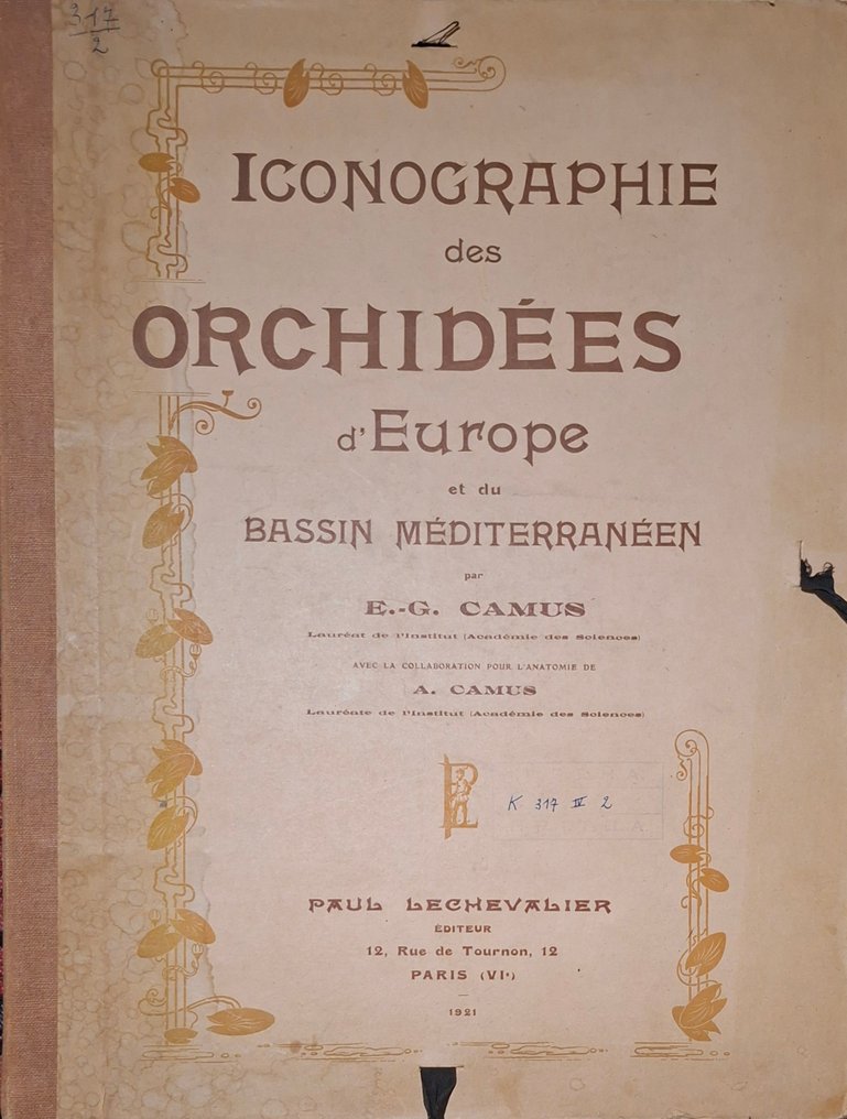 E. G. Camus - Iconographie des orchidées - 1921 #1.0