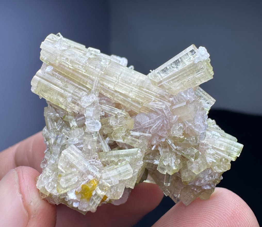 Tourmaline Crystal cluster - Height: 35 mm - Width: 38 mm- 30 g - (1) #1.0