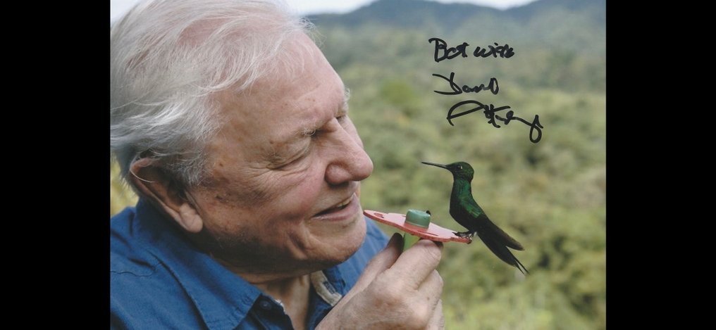 TV and Documentary Legend - Signed by Sir David Attenborough #2.1