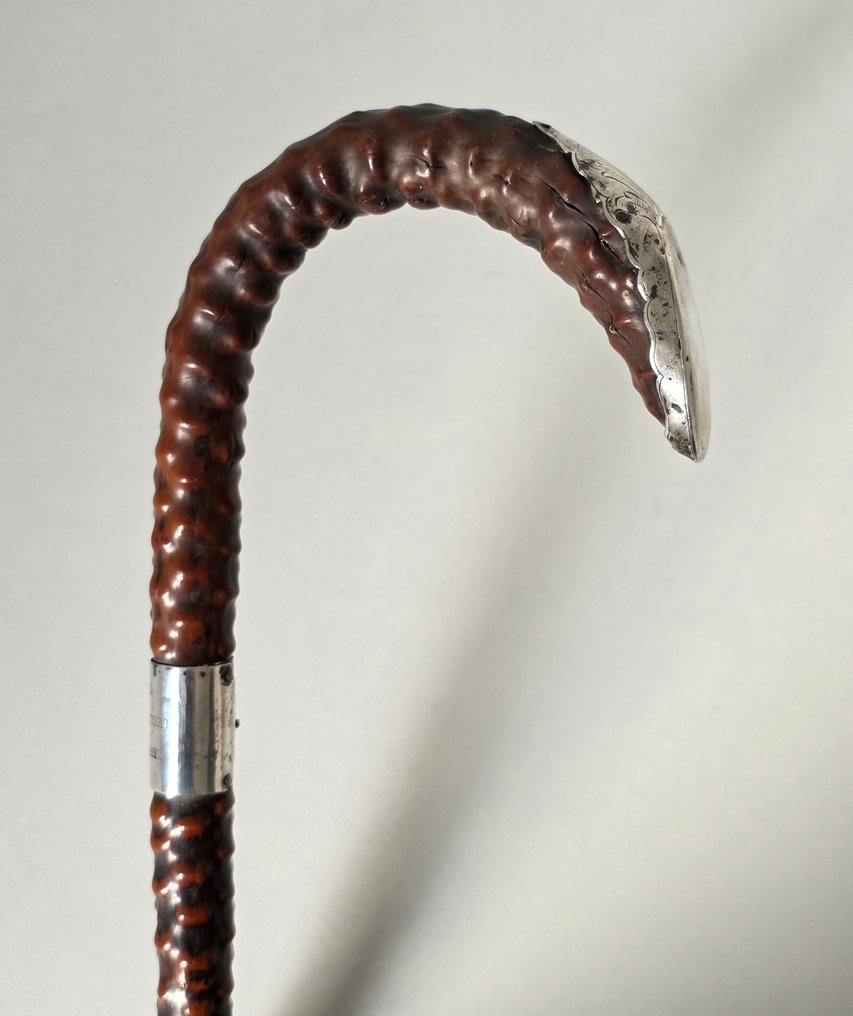 Gedetailleerde Baston - Lemn, Argint, 835 - Met detalii argintii #2.1