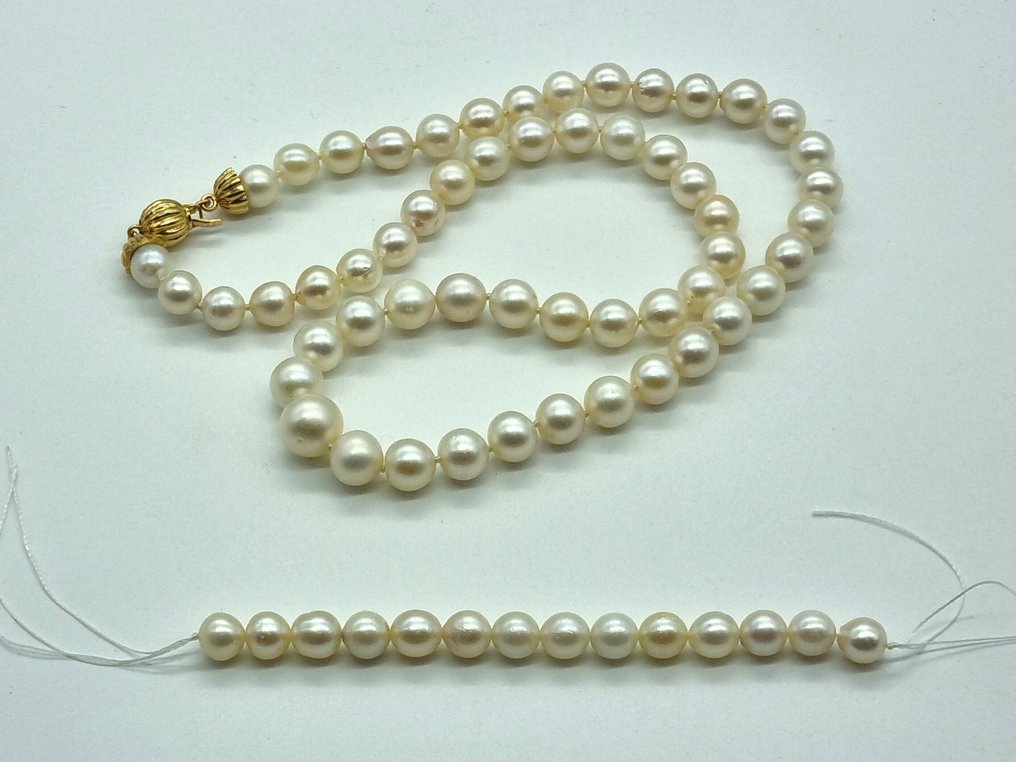 Sem preço de reserva - Colar - 18 K Ouro amarelo Pérola - No reserve #4.3