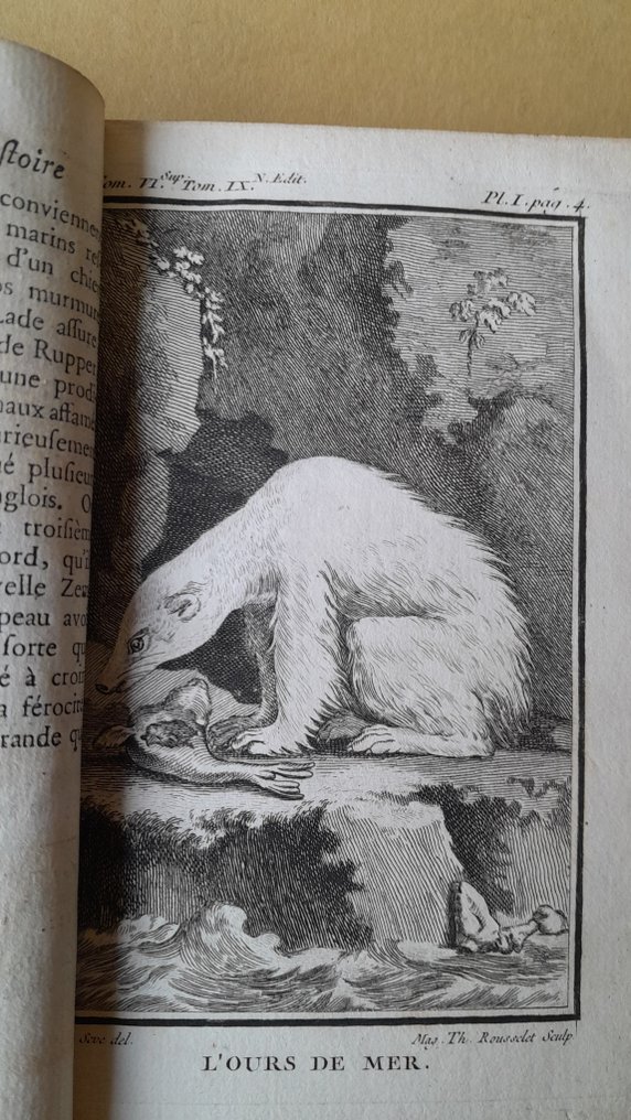 Comte de Buffon - Oeuvres complètes: Tome 9, les quadrupèdes / Tomes 1 et 2 les minéraux - 1777-1783 #4.3