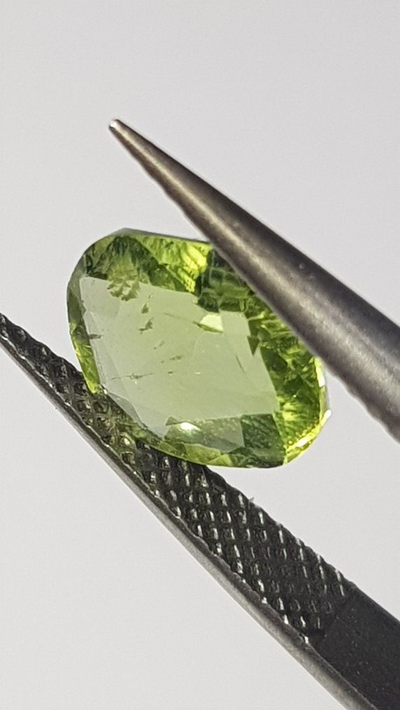 Ingen mindstepris - 1 pcs  Grøn Peridot  - 2.54 ct - Antwerp Laboratory for Gemstone Testing (ALGT) #2.1