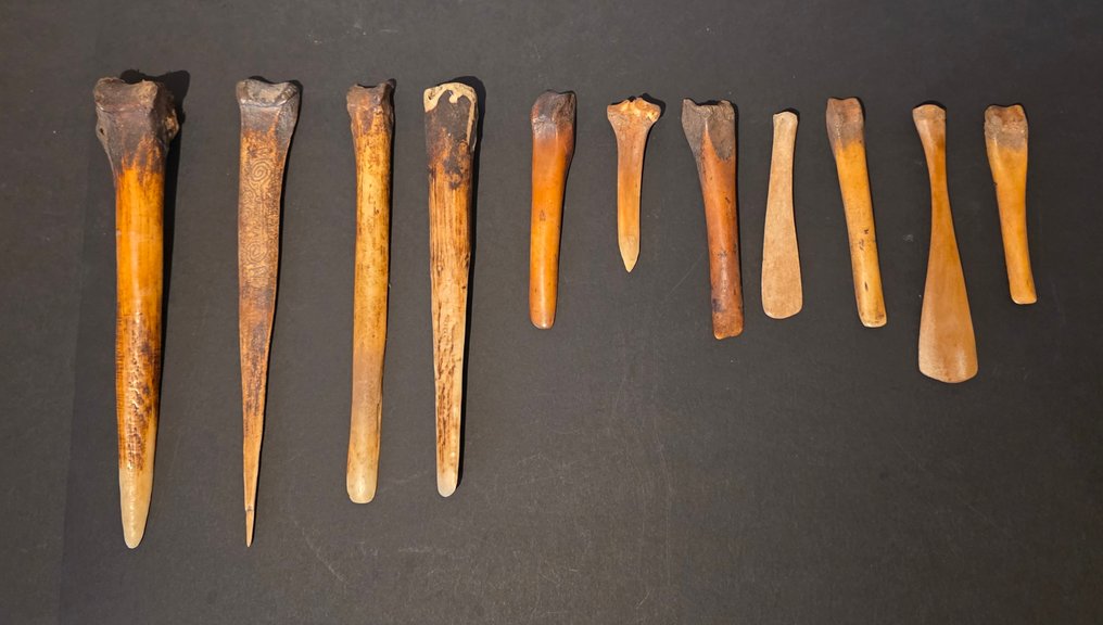 11 εργαλεία - ex coll Jac Hoogerbrugge - Asmat - Δυτικό Παπούα #1.0