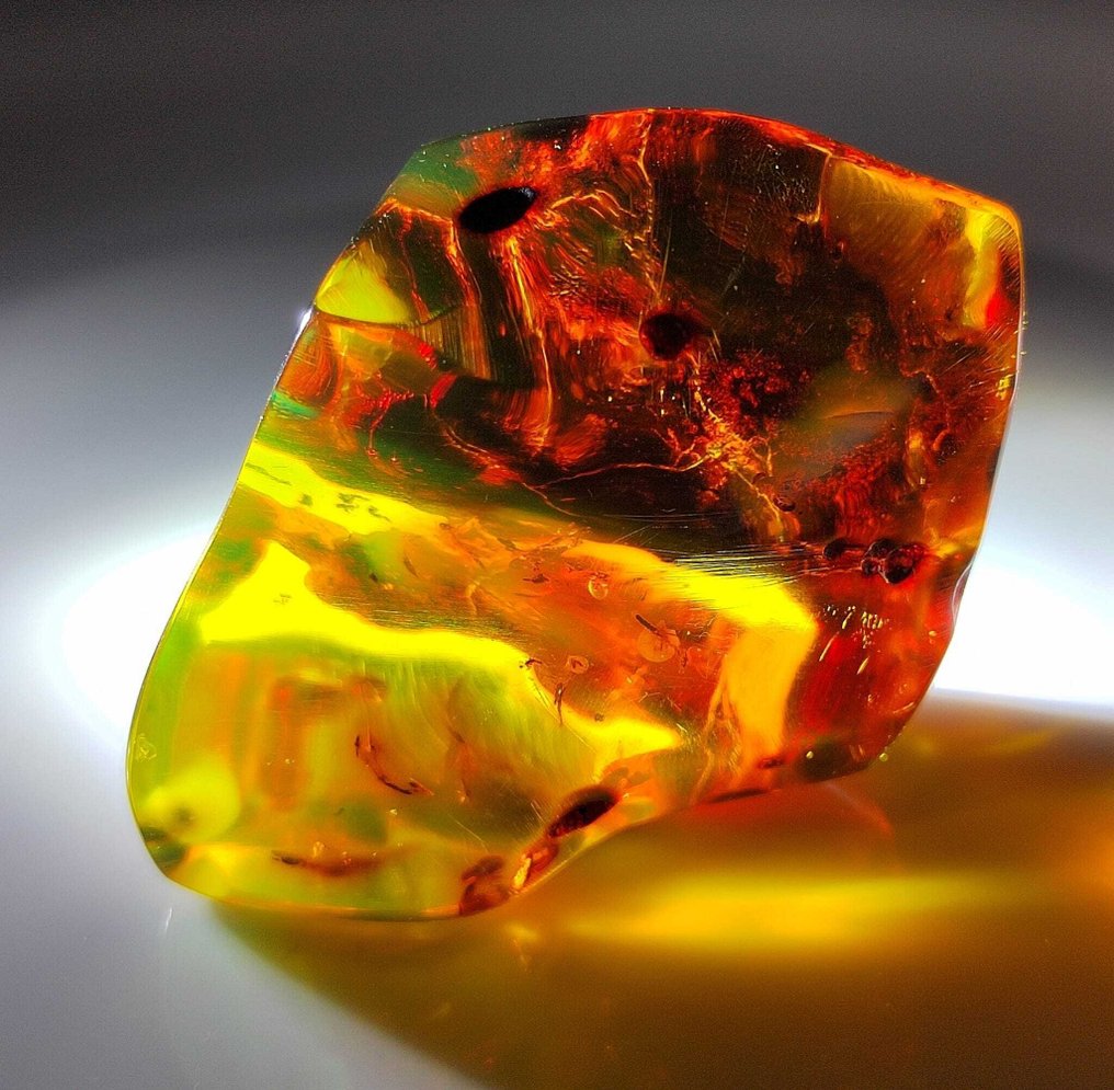 多米尼加琥珀！！ AAA 级别 - 165 克拉- 33 g #1.0