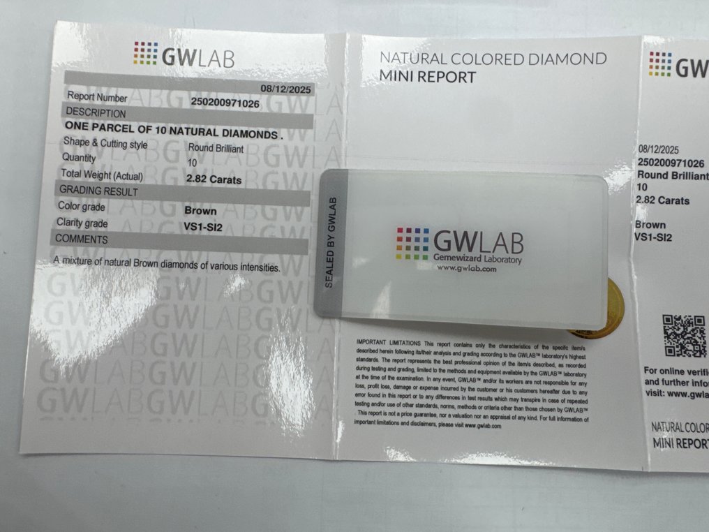No reserve price - 10 pcs Diamond (Natural coloured) - 2.82 ct - Round Brown - SI2, VS1 - Gemewizard Gemological Laboratory (GWLab) #3.2