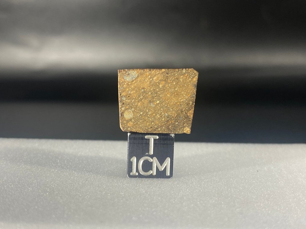 Rarissima Rumuruti Mederdra chondrite（R4-5） 没有保留价格！！ - 3.4 g - (1) #4.3