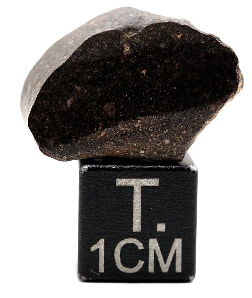 NWA 15341, einer von vier Meteoriten, die jemals als CO3-anomalischer karbonatischer Meteoriten Kohlenstoffhaltiger Chondritmeteorit - 5.36 g - (1) #1.0