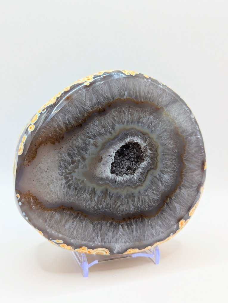 No Reserve Purchase Polished- 1221 g - (1) #3.2