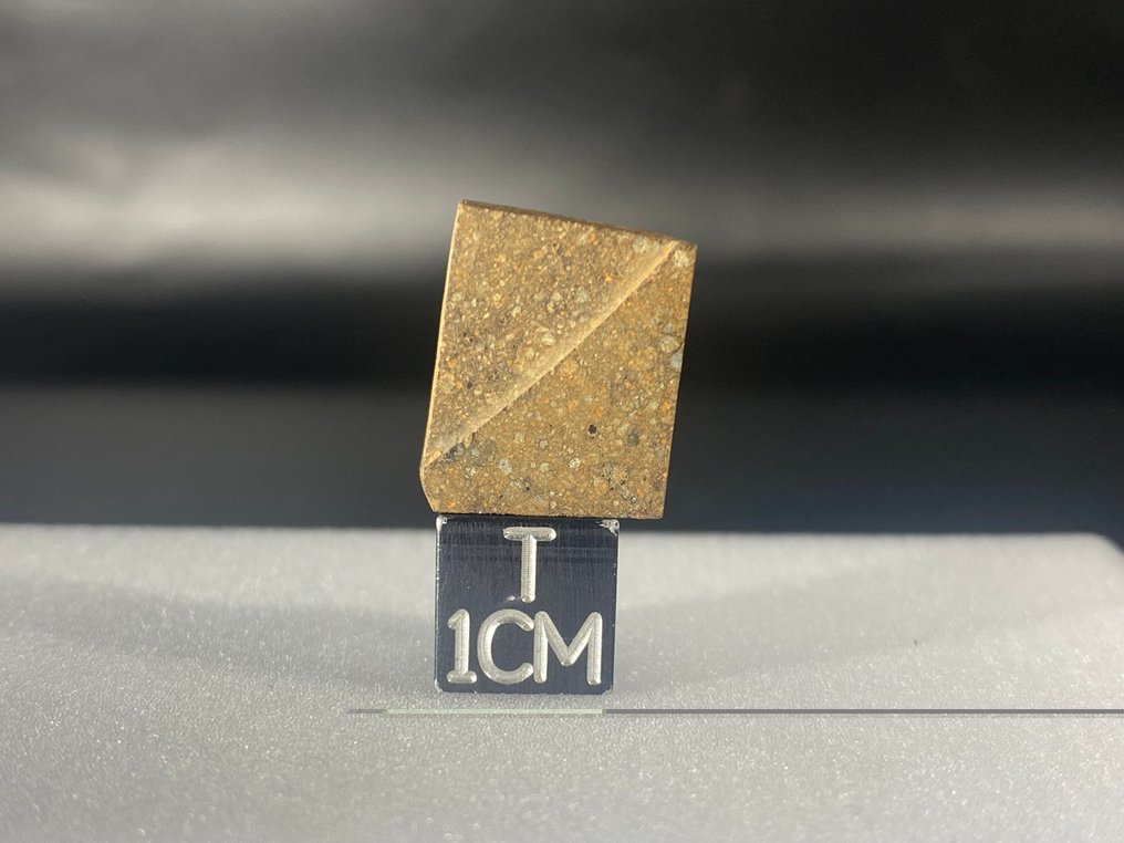 Rarissima Rumuruti Mederdra chondrite（R4-5） 没有保留价格！！ - 3.4 g - (1) #3.2