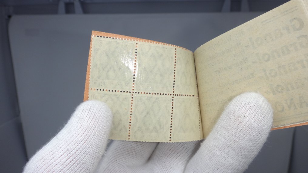 德意志帝國 1921 - 日耳曼尼亚 - MH 14.1A ONr.1 dgz #3.2