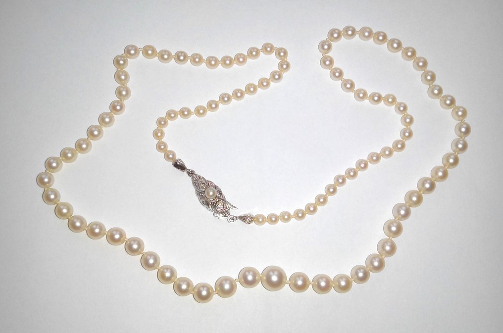 Sem preço de reserva - Colar Ouro branco 14 kt - Pérolas Akoya - comprimento de 53,5 cm - Millegriffes #1.0