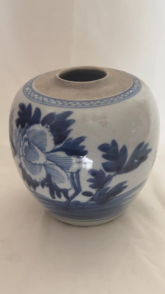 Pata - Posliini - Qing-dynastian sinivalkoinen #1.0