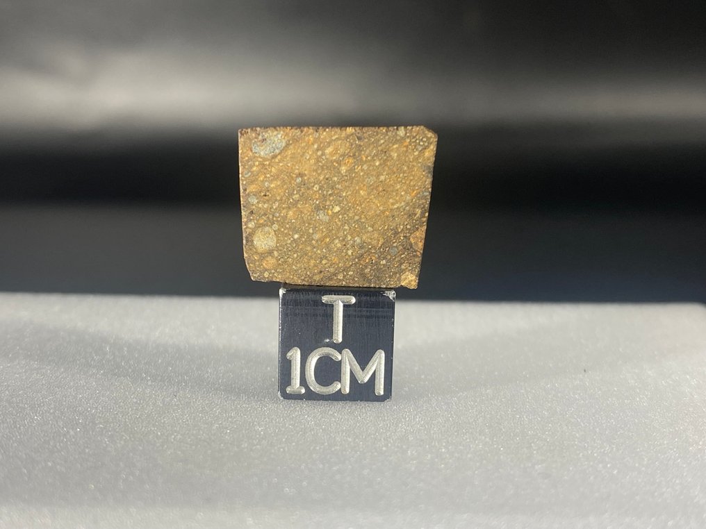 Rarissima Rumuruti Mederdra chondrite（R4-5） 没有保留价格！！ - 3.4 g - (1) #1.0