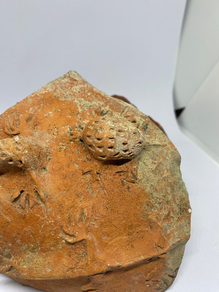 Ancient Roman Terracotta Amphora, Ancient Roman Terracotta Vessel Fragment with Stylised Amphibian Motifs #4.3