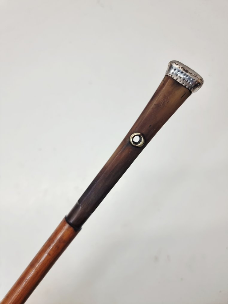 Walking stick - Horn, Bamboo #1.0