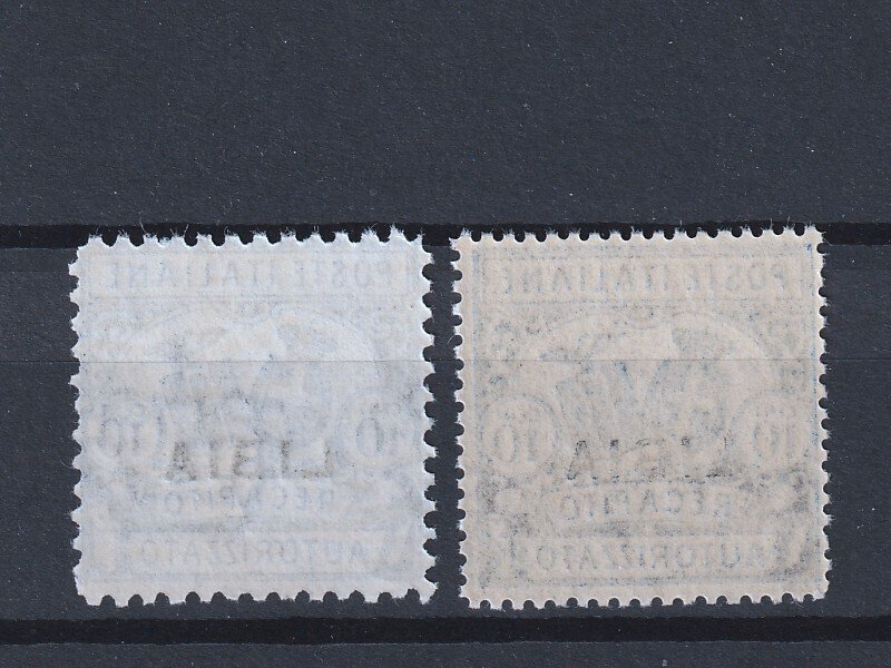 Olasz Líbia 1929 - Libia 1929 Engedélyezett kézbesítés, a két érték 10c, kék színű, fogazott, 11 és 14, új, teljes - Sassone numeri 1/2 #1.0