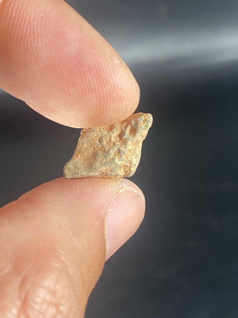 (troctoliet smeltbreccie) Nwa 17861 !! Zonder reserveprijs!! - 1.6 g - (1) #1.0