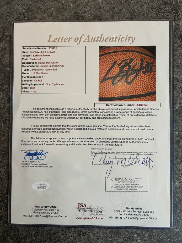 NBA Basketbal - LeBron James - Baschet #1.0