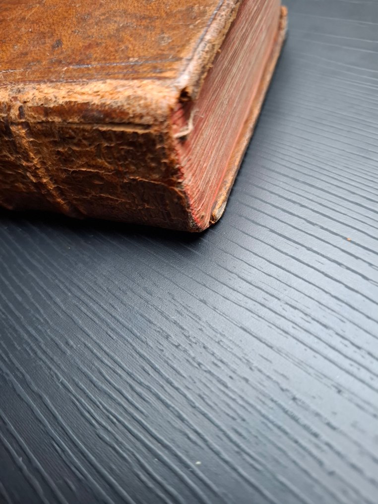 [Adriaan Poirters] - Het duyfken in de steen-rotse - 1662 #3.2