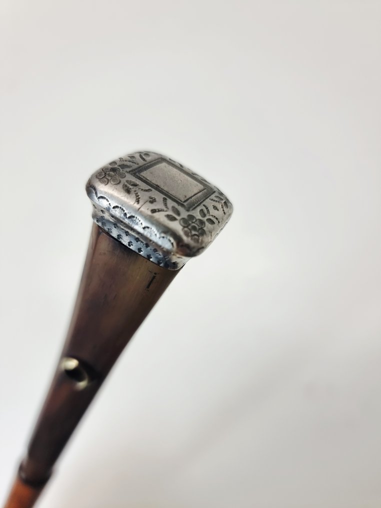 Walking stick - Horn, Bamboo #1.0