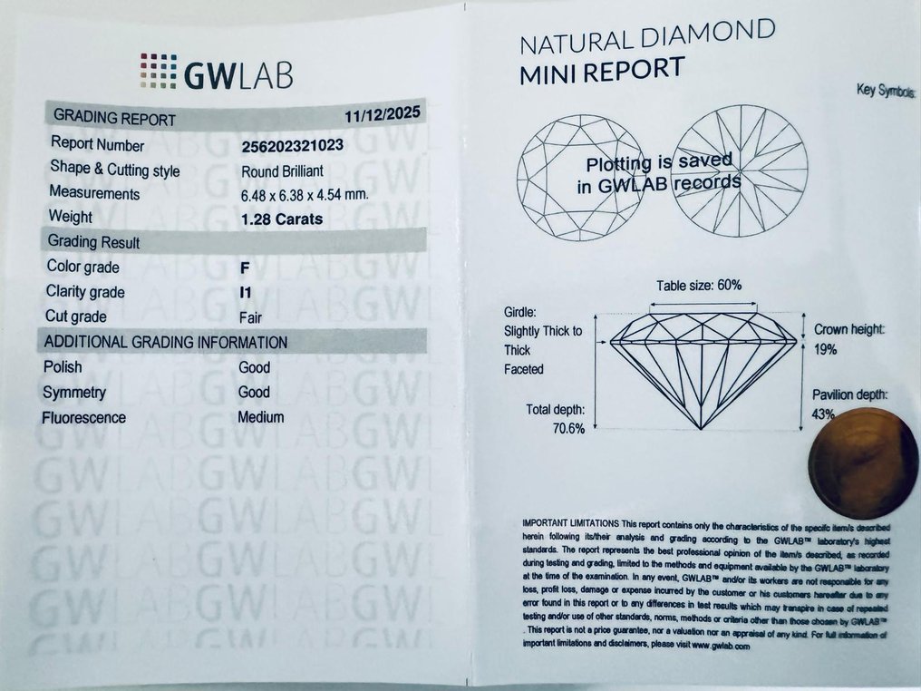 No reserve price - 1 pcs Diamond (Natural) - 1.28 ct - Round - F - I1 - Gemewizard Gemological Laboratory (GWLab) #3.2