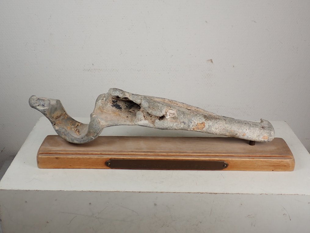 古羅馬 鉛 主播 - 10.5 cm  (沒有保留價) #1.0