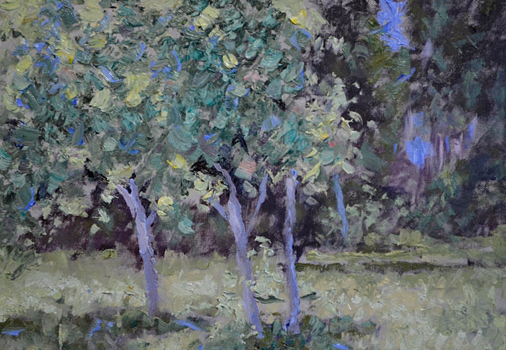 Chris van Dijk (1952) Impressionist - " Sommant " #1.0