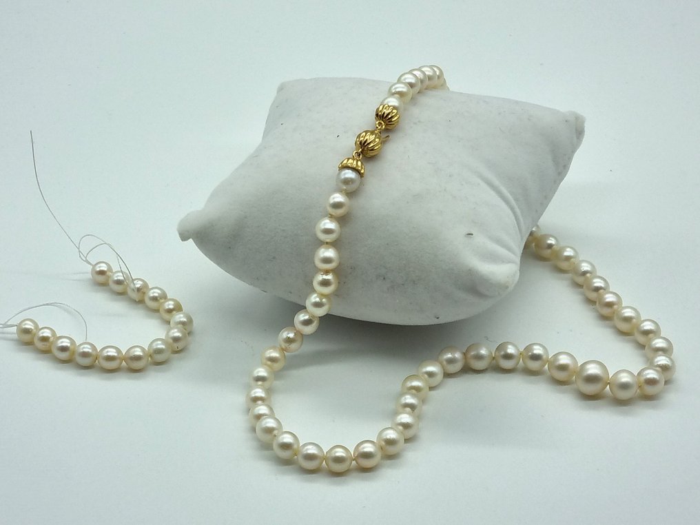 Sem preço de reserva - Colar - 18 K Ouro amarelo Pérola - No reserve #1.0